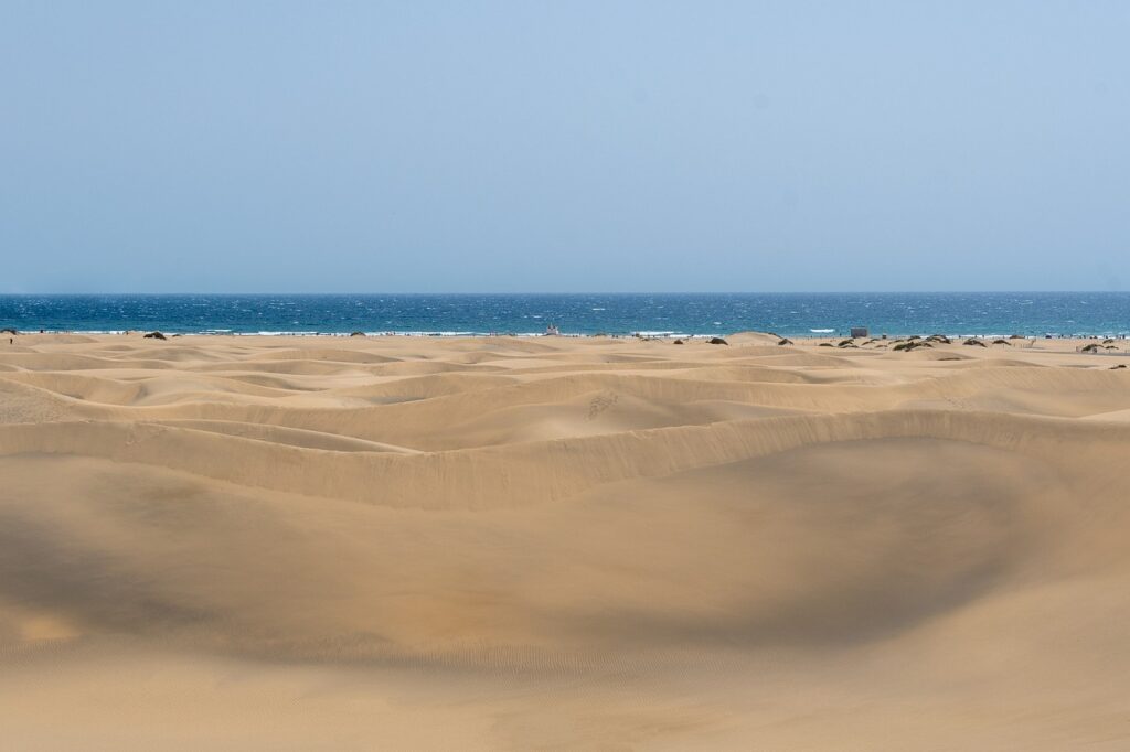 desert, beach, sand